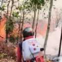 Kebun Karet di Muara Enim Dilalap Api