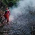 El Nino Sangat Kuat, Jangan Bakar Lahan untuk Land Clearing