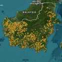 Cara Cek Titik Api Karhutla di Kalimantan, Pantau Hotspot Lewat 3 Layanan Ini