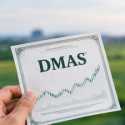 DMAS Ketiban Cuan Data Center, Tapi Lahan Makin Tipis