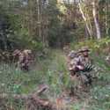 Operasi Jungle FTX