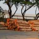 September 2026, Industri Kayu Tertekan Karhutla