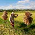 UU Pengaturan Reforma Agraria jadi Kado Manis Petani untuk Berdaulat