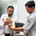 Mirjawal Dorong Penguatan Sistem dan Kolaborasi untuk Kendalikan Rabies