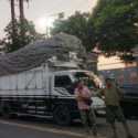 Sopir Truk Pesimis Zero ODOL Terlaksana 2027