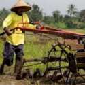 Desain Mesin Pertanian Harus Sesuai Karakteristik Lahan dan Petani
