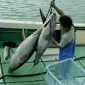Nestapa Awak Kapal Perikanan di Tengah Ekonomi Biru