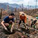 Tata Kelola Hutan Buruk, Dana Reboisasi Tak Jelas Kemana