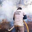 Legislator PKB Minta Pelaku Pembakaran Hutan Ditindak Tanpa Pandang Bulu