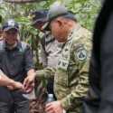 Jalur Darat dan Sumur Bor Disiapkan untuk Tangani Karhutla Tanjung Puting