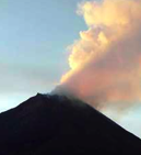 Dihujani Debu Vulkanis, Sayuran Tanah Karo Tetap Laris Manis