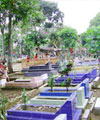 Lahan Makam Habis, Satu Lubang Dua Jenazah