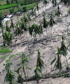 Sisa Banjir Lahar Jadi Mata Pencarian Warga