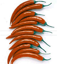 Tembus Rp 70 Ribu/Kg Di Bulan Puasa, Harga Cabe Makin Pedas