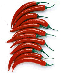 Harga Cabe Sulit Dikendalikan, Inflasi Akhir Tahun Di Atas 9%