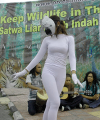 Kampanye Hutan NGO Nggak  Boleh Berstandar Ganda