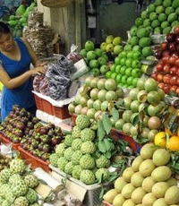 Industri Lokal Makin Terpuruk, Izin Impor Kok Naik Empat Kali