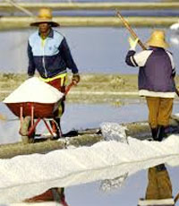 Dirjen KKP Kesal Ada Yang Main-main Impor Garam