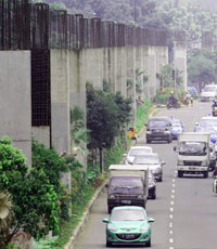 Semak Tumbuh Subur, Besinya Belum Kelihatan