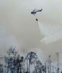 TNI Lakukan 3.074 Bom Air Untuk Padamkan Titik Api