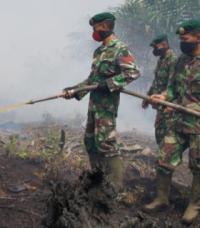 TNI Fokuskan Pemadaman Titik Api di Bengkalis