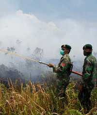 Prajurit TNI Terus Padamkan Kebakaran Hutan Riau