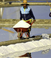 Moratorium Izin Impor Garam Industri Berlaku Dua Minggu