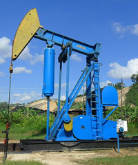 UKM Disuruh Kelola Sumur  Migas, Syarief Hasan Ngaku Ada Kendala