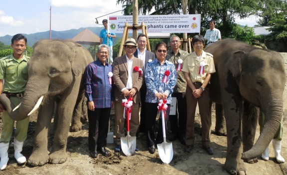 Dua Gajah Sumatera Ikut Meriahkan Taman Safari Jepang