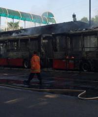 Bus Transjakarta yang Terbakar Produk Impor dari China