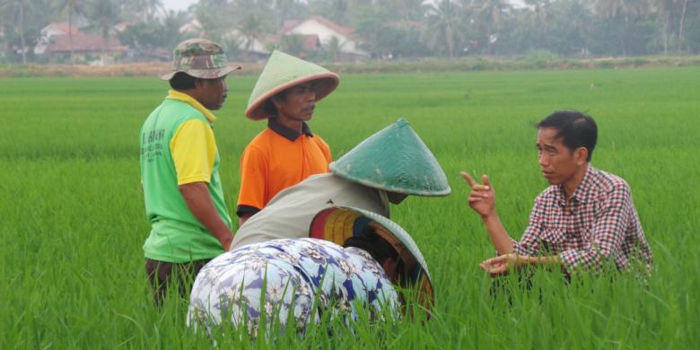 Jokowi  dan Kabinet Koalisi Rakyat