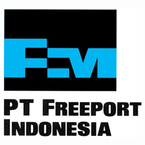 Pemda & Pusat Belum Sinergi, Freeport Merasa di Atas Angin