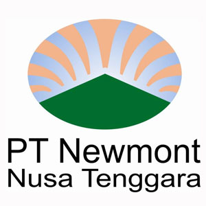 Ada Pemburu Rente Halangi Menkeu Beli Saham Newmont