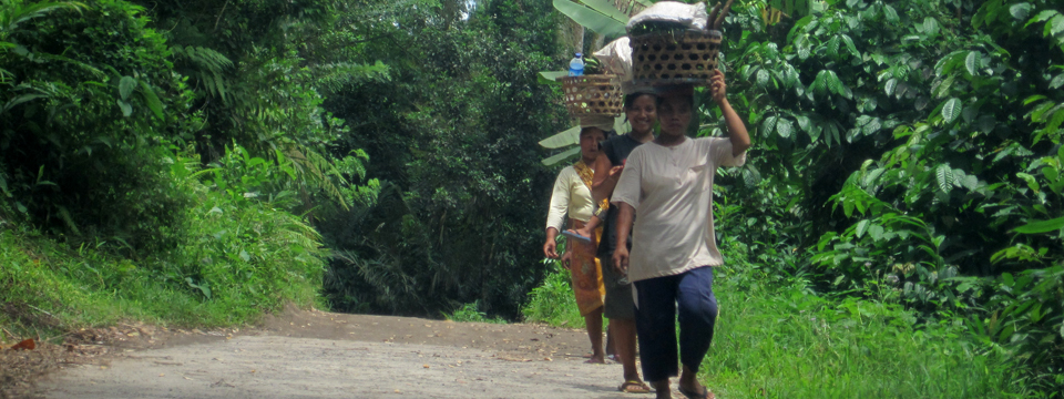 Hutan Desa harus Dikelola dengan Berorientasi Ekonomi Lingkungan