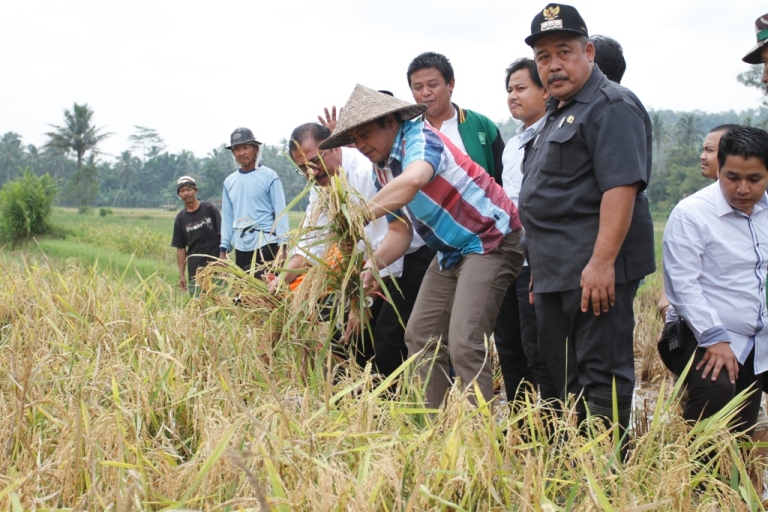 Pemerintah Targetkan 50 Sampai 70 Kabupaten Tertinggal Bisa Teratasi