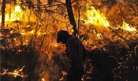 Maret Mulai Musim Kemarau, Waspada Potensi Kebakaran