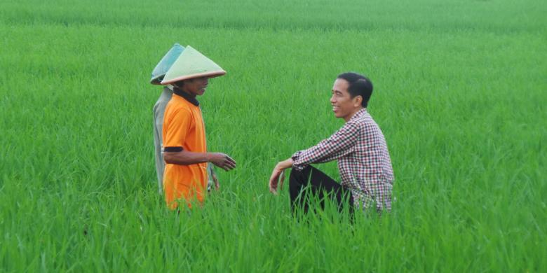 Jokowi Asyik Undang Swasta Asing, Petani Terancam