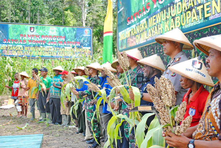 Prajurit TNI dan Warga Papua Panen Raya Sorgum