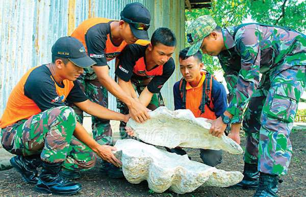 Temukan Fosil Kerang Raksasa di Atas Gunung