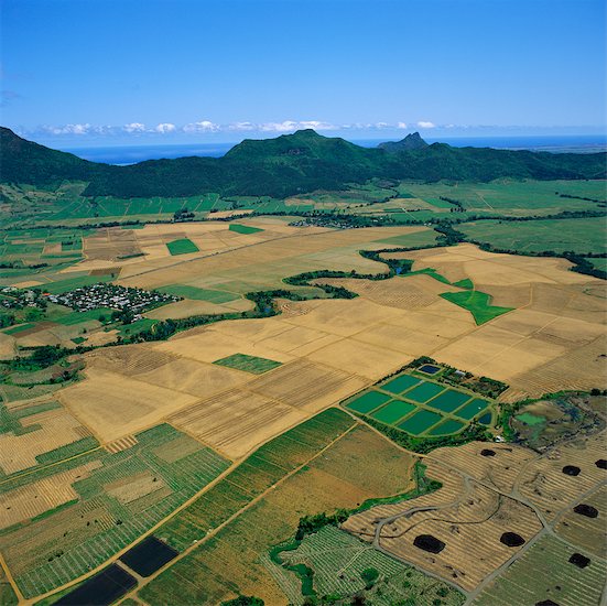 Ini Desain Pembangunan Desa ala Menteri Ferry Cs
