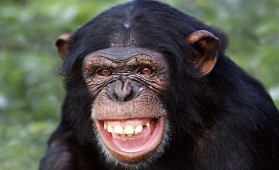 Asal Senyuman Manusia