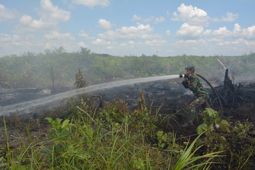 Prajurit Kostrad Deteksi Titik Api Terbesar di Pelalawan