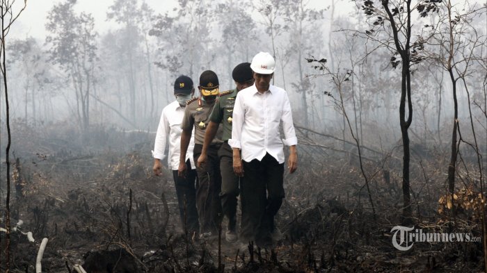 Komnas HAM: Soal Asap, Pemerintah Melakukan Pelanggaran Serius