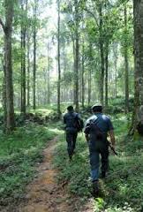 Jumlah Polhut Banyak tapi <i>kok</i> Hutan Masih Terus Terbakar?