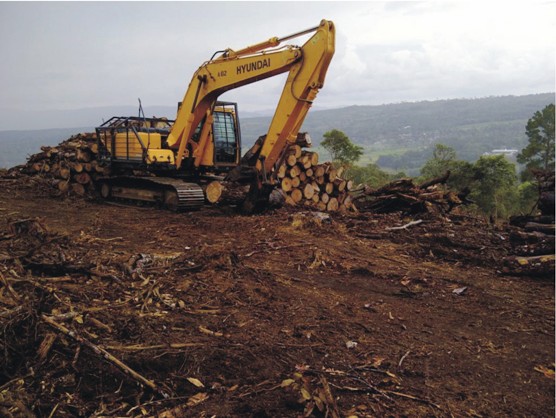 Satgas Karhutla Amankan Excavator dan Ratusan Kayu di Muba