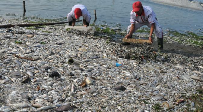 Pengunjung Urungkan Niat Berenang, Takut Keracunan