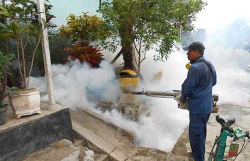 Yonif Linud 433/Js  Kostrad Gelar Fogging