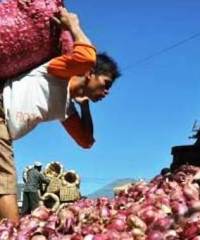 RR Kepret Importir Pangan Merangkap Produsen