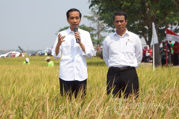 DPR: Mentan Telah Kerja Keras Tingkatkan Produksi Pertanian