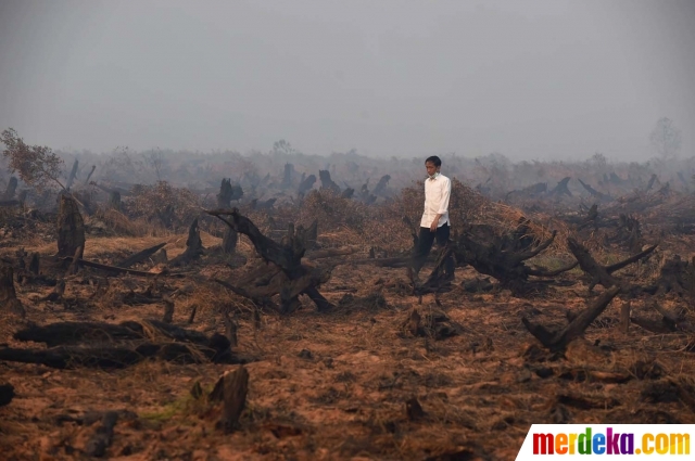 Presiden: Titik Api Sudah Mulai Muncul Lagi, Segera Antisipasi